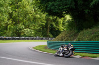 cadwell-no-limits-trackday;cadwell-park;cadwell-park-photographs;cadwell-trackday-photographs;enduro-digital-images;event-digital-images;eventdigitalimages;no-limits-trackdays;peter-wileman-photography;racing-digital-images;trackday-digital-images;trackday-photos